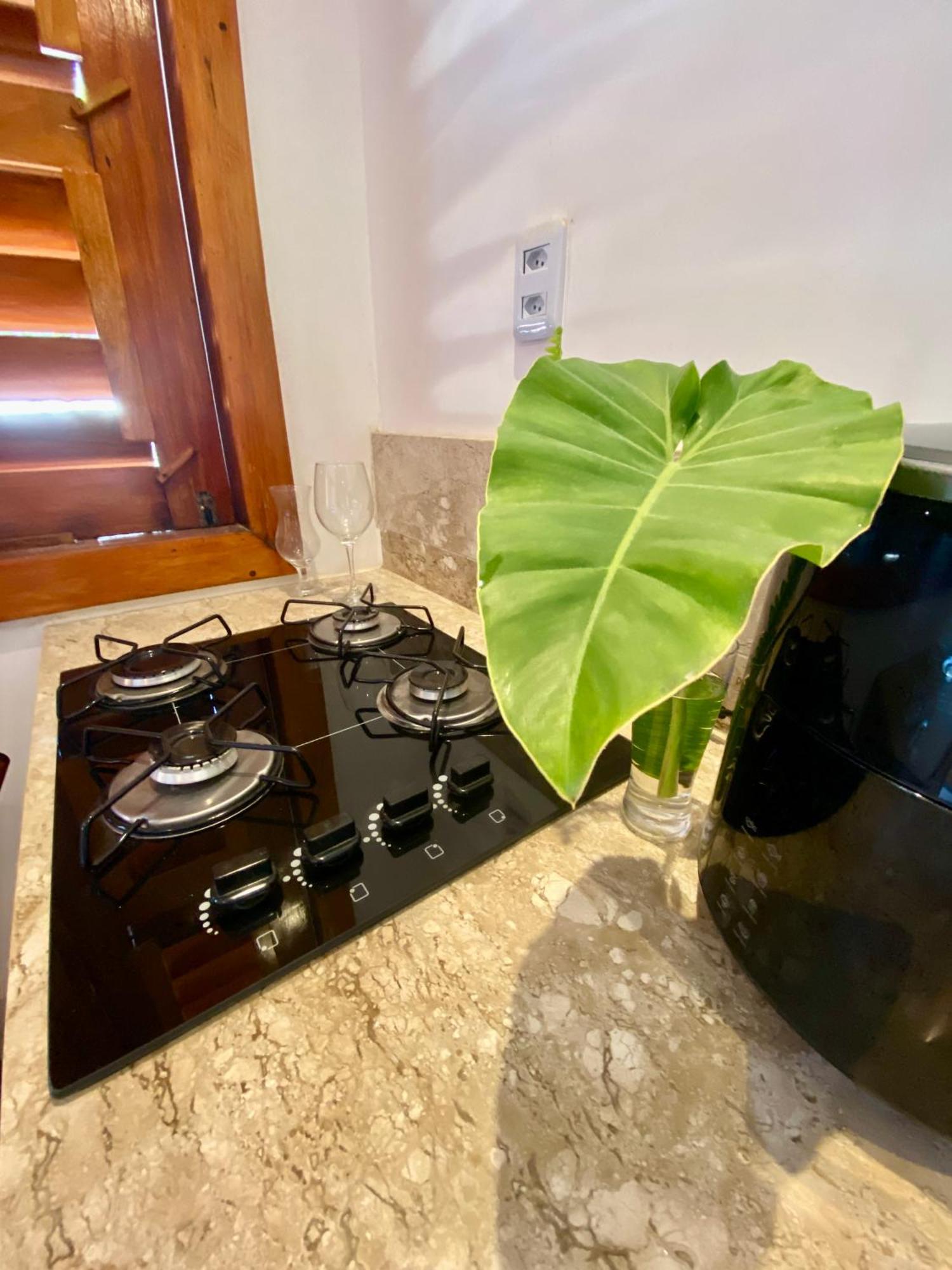 ジジョーカ・デ・ジェリコアコアラCasa Pitanga Flatアパートメント エクステリア 写真